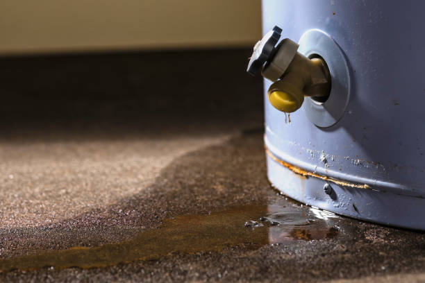 Best Sewage cleanup and water damage restoration  in Chico, TX