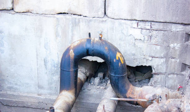 Best Local water damage restoration  in Chico, TX